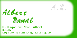 albert mandl business card